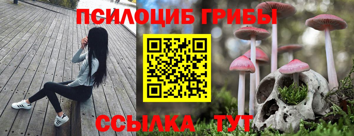Ачхой-Мартан  Псилоцибиновые грибы мухоморы  Вход с VPN 